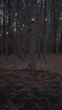 Load and play video in Gallery viewer, The Longmire Ranch - Coming Soon
